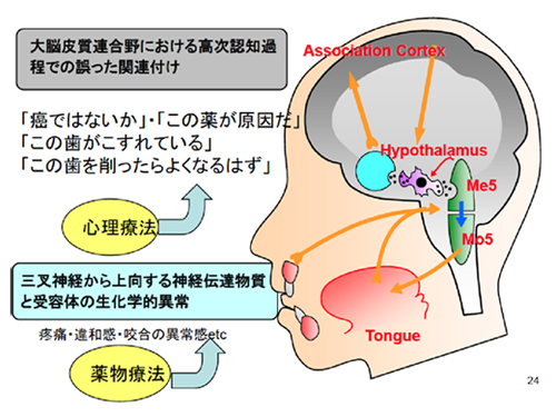 ※図は、後述、豊福 明先生のスライドから転載しました